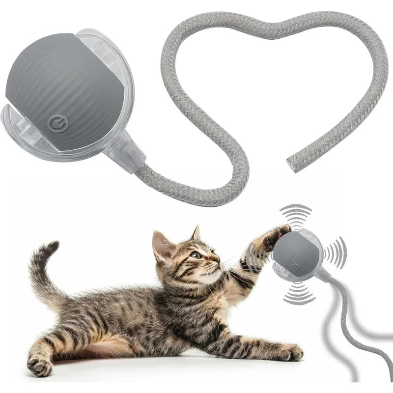 Tu gato más feliz que nunca con esta Pelota Interactiva para Gatos