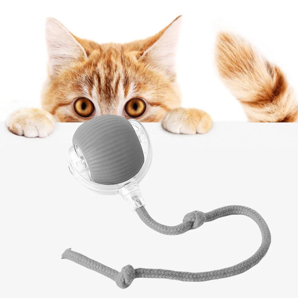 Tu gato más feliz que nunca con esta Pelota Interactiva para Gatos